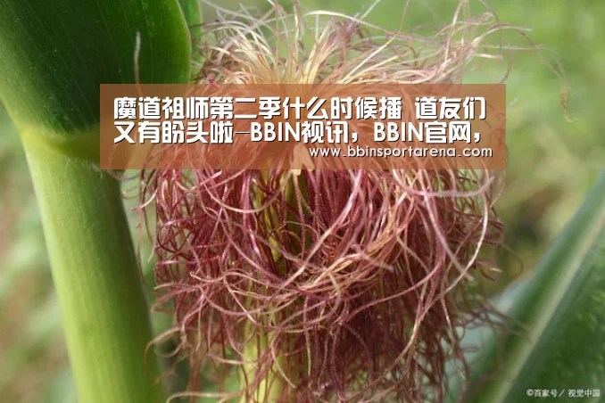 魔道祖师第二季什么时候播 道友们又有盼头啦-BBIN视讯,BBIN官网,BBIN捕鱼,BBIN棋牌(图2) BBIN视讯,BBIN官网,BBIN捕鱼,BBIN棋牌
